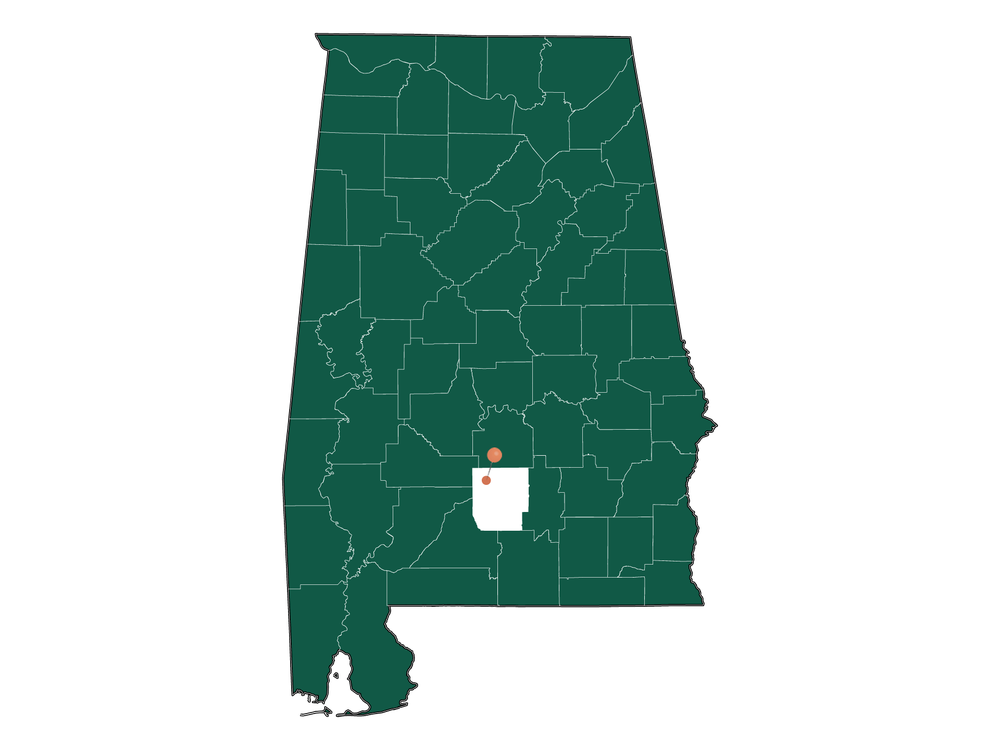 Moving to Forest Home, Alabama in 2023
