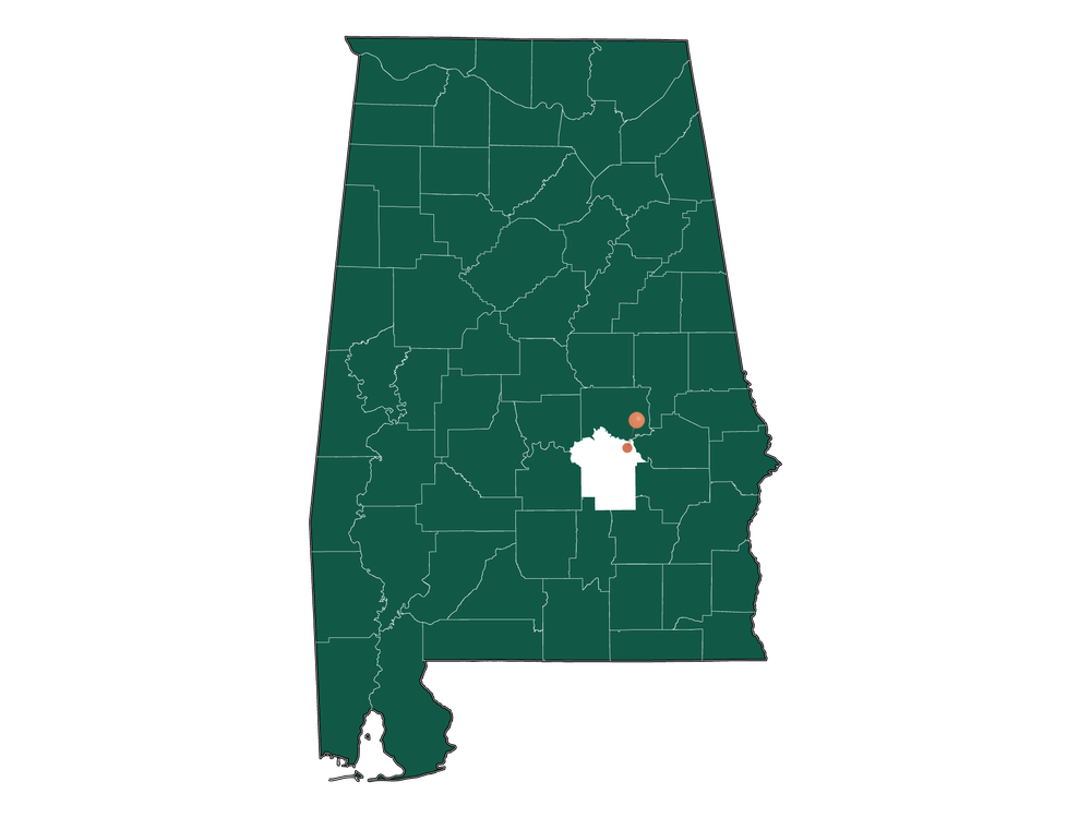 Population In Mount Meigs, Alabama Demographics)