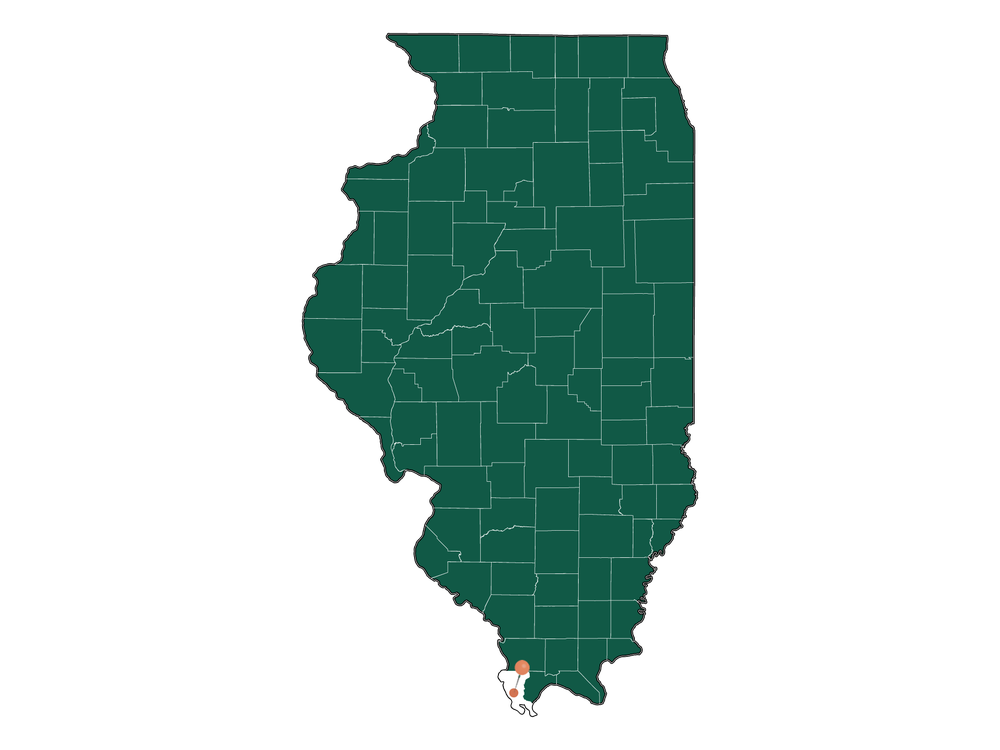 zip-codes-in-olive-branch-precinct-illinois