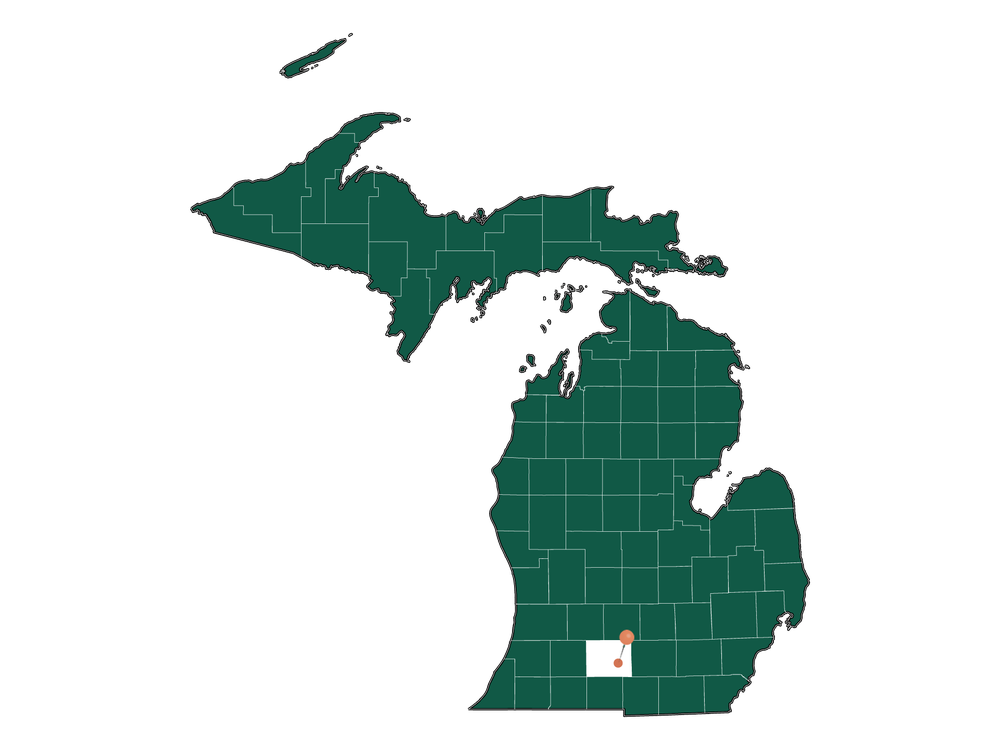 Moving to Eckford township, Michigan in 2023
