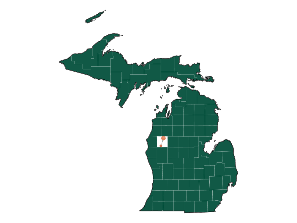 Safety in Pleasant Plains township, Michigan (crime rates and