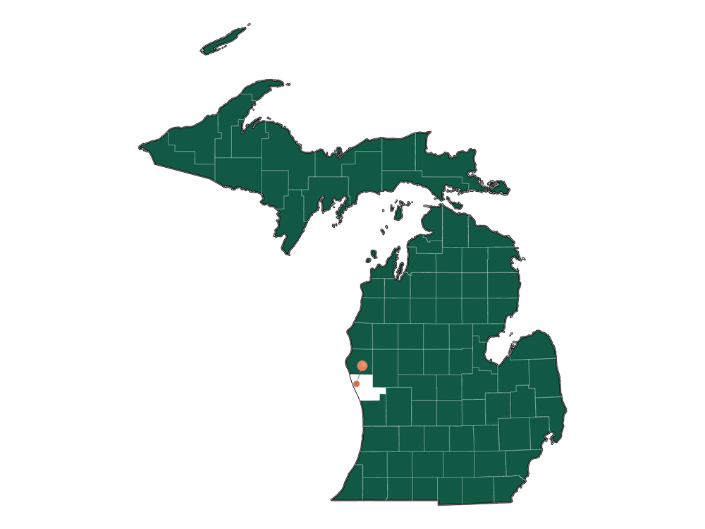 Moving to Fruitland township, Michigan in 2023