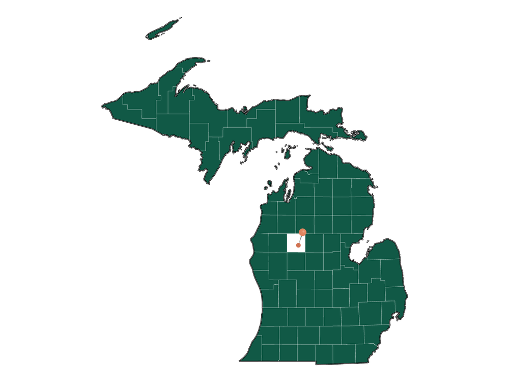 Zip Codes in Osceola township (Osceola County), Michigan