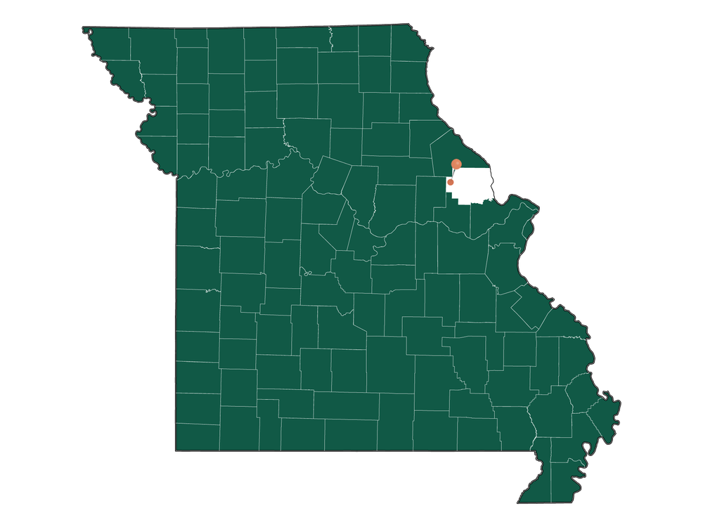 Moving to Nineveh township (Lincoln County), Missouri in 2023