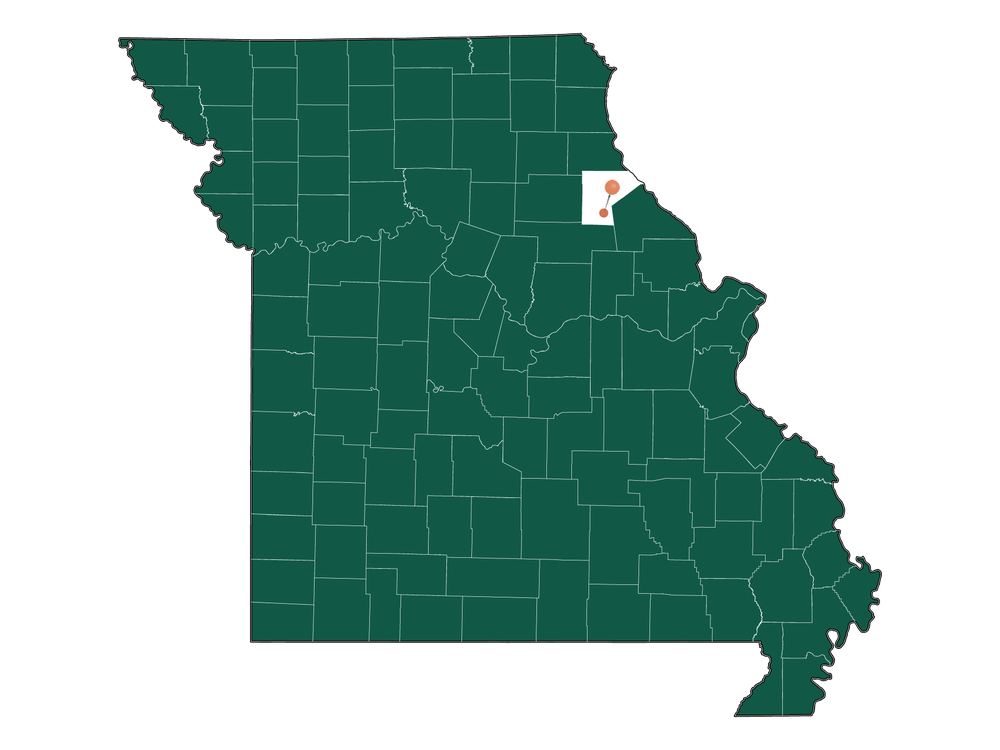 Population In Jasper township (Ralls County), Missouri