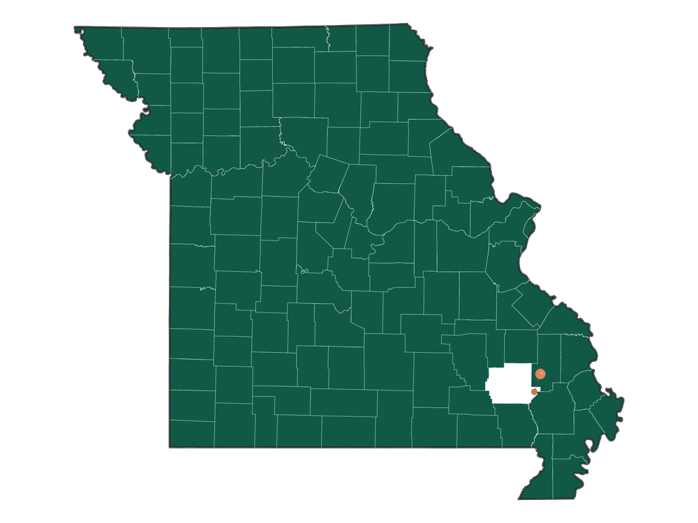 Moving to Jefferson township (Wayne County), Missouri in 2023