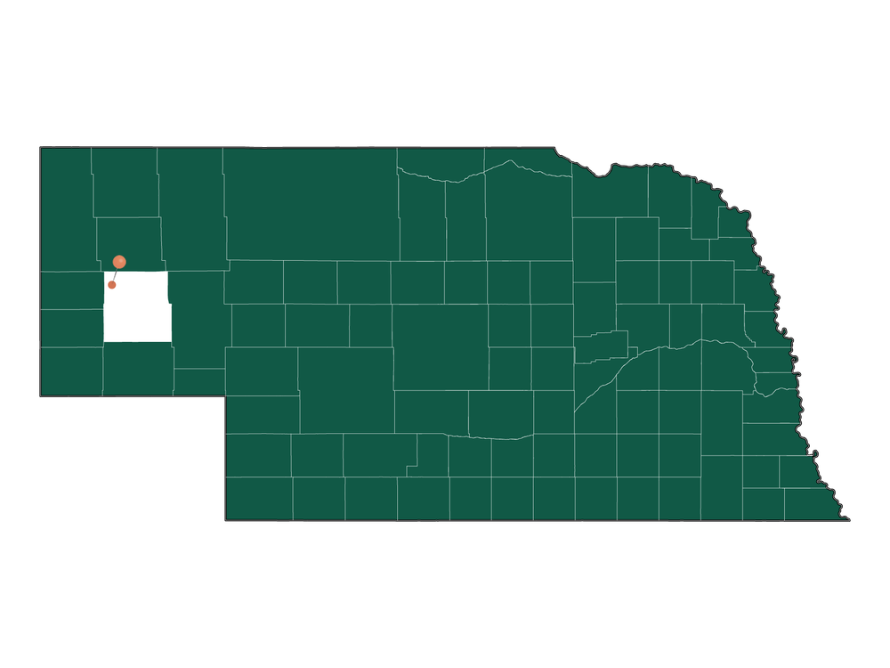 Pros and Cons of living in West Bayard precinct, Nebraska