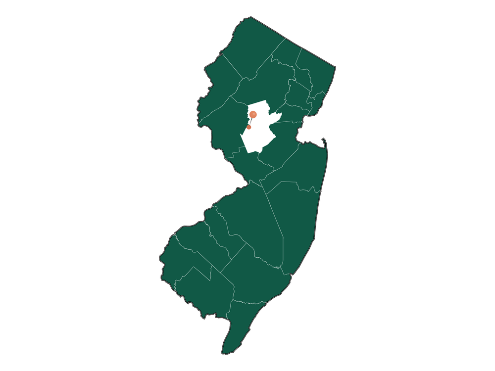 Moving to Branchburg township, New Jersey in 2023