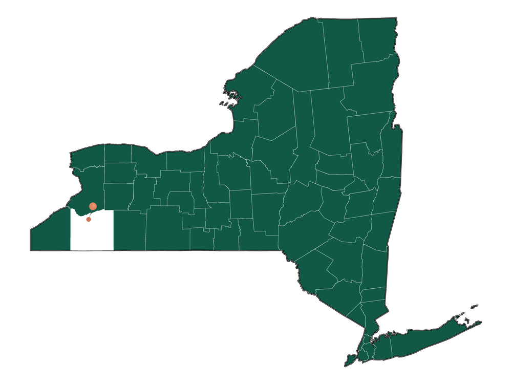 Pros and Cons of living in East Otto, New York