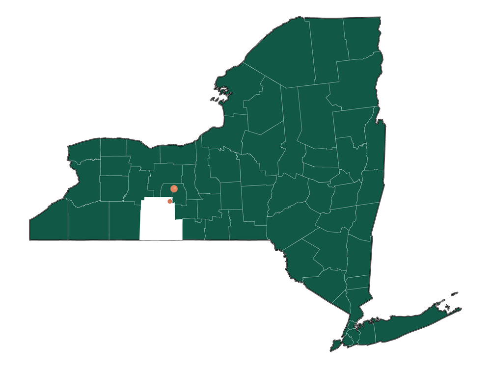 Moving to Pulteney, New York in 2023