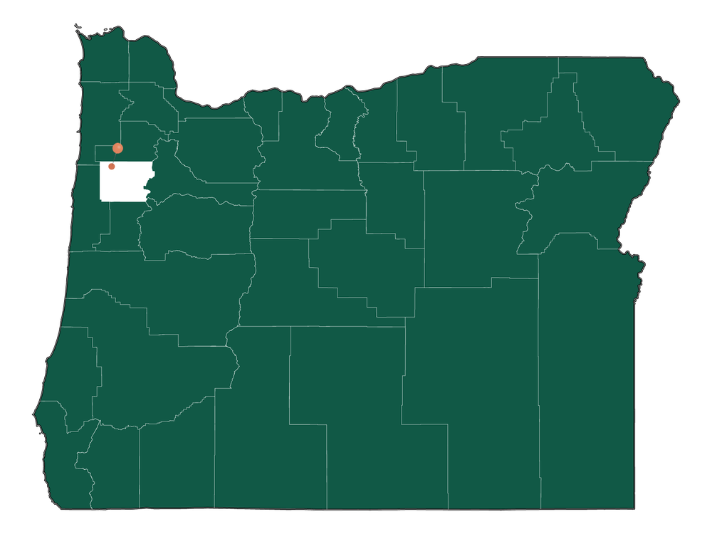 Moving to Willamina (Polk County), Oregon in 2023