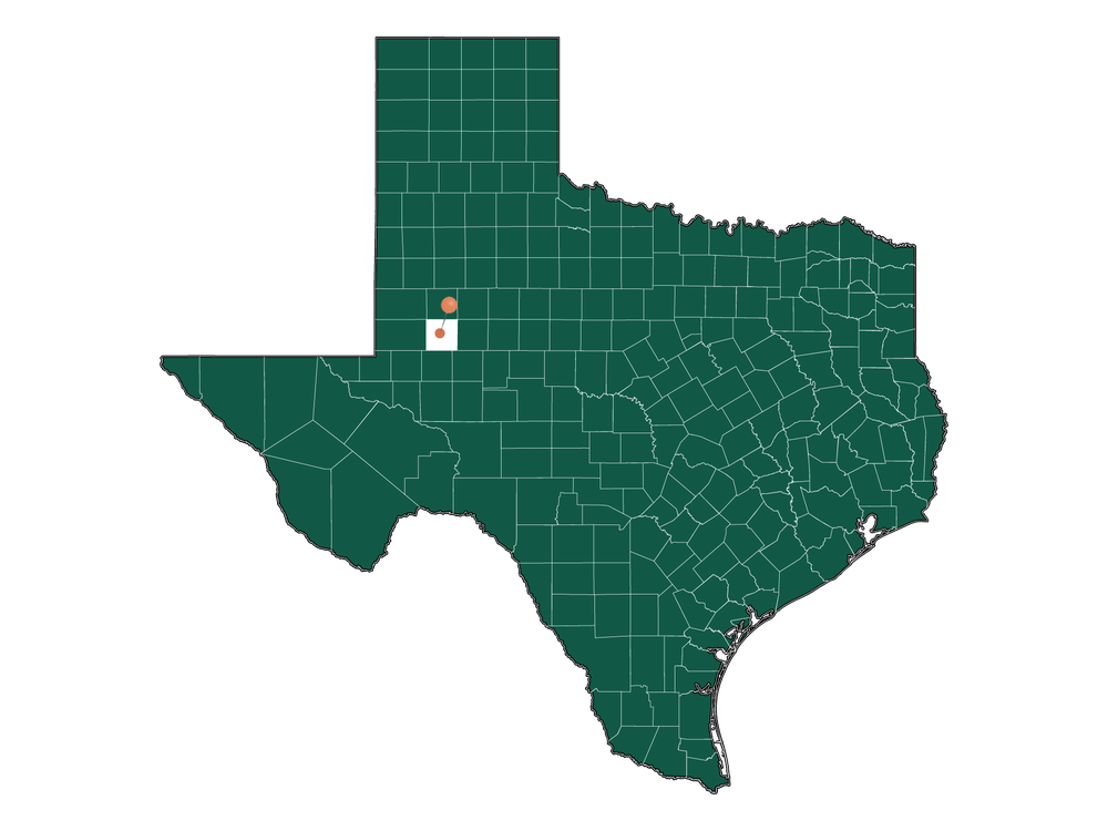 Moving to TarzanLenorah, Texas in 2023
