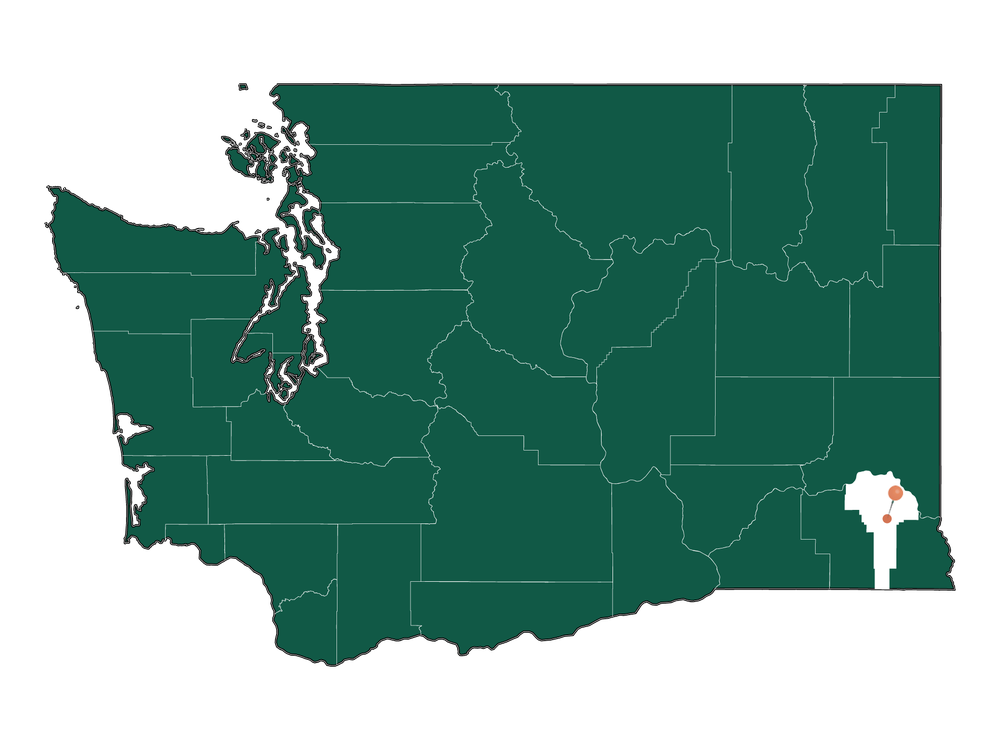 Unlocking Snake River, WA Living: Pros and Cons | Dwellics