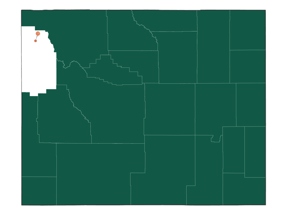 Unlocking Yellowstone National Park (Teton County), WY Living Pros and