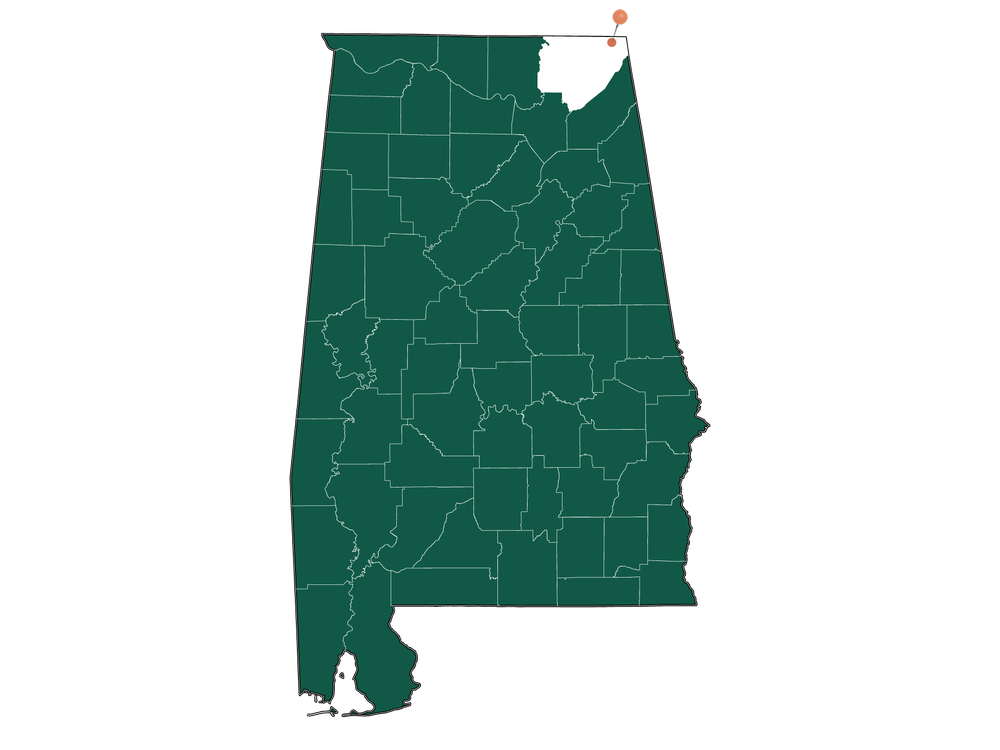 Moving to Bridgeport, Alabama in 2023