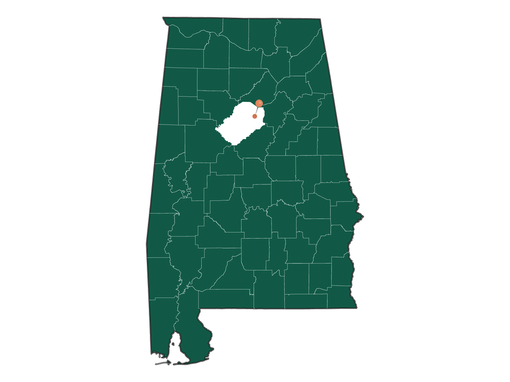 Moving to Center Point, Alabama in 2023