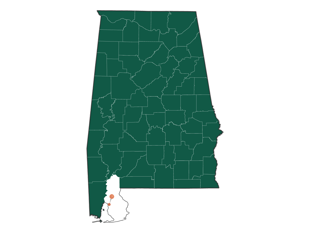 Unlocking Daphne, AL Living Pros and Cons Dwellics