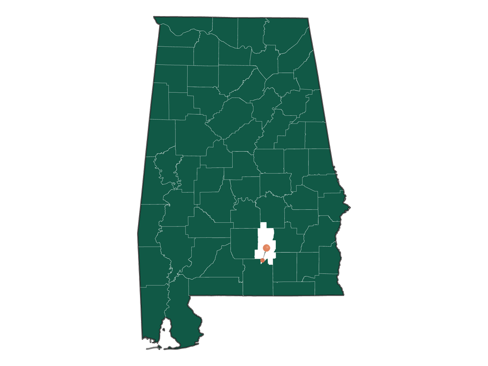 Climate in Dozier, Alabama (Detailed Weather Information)