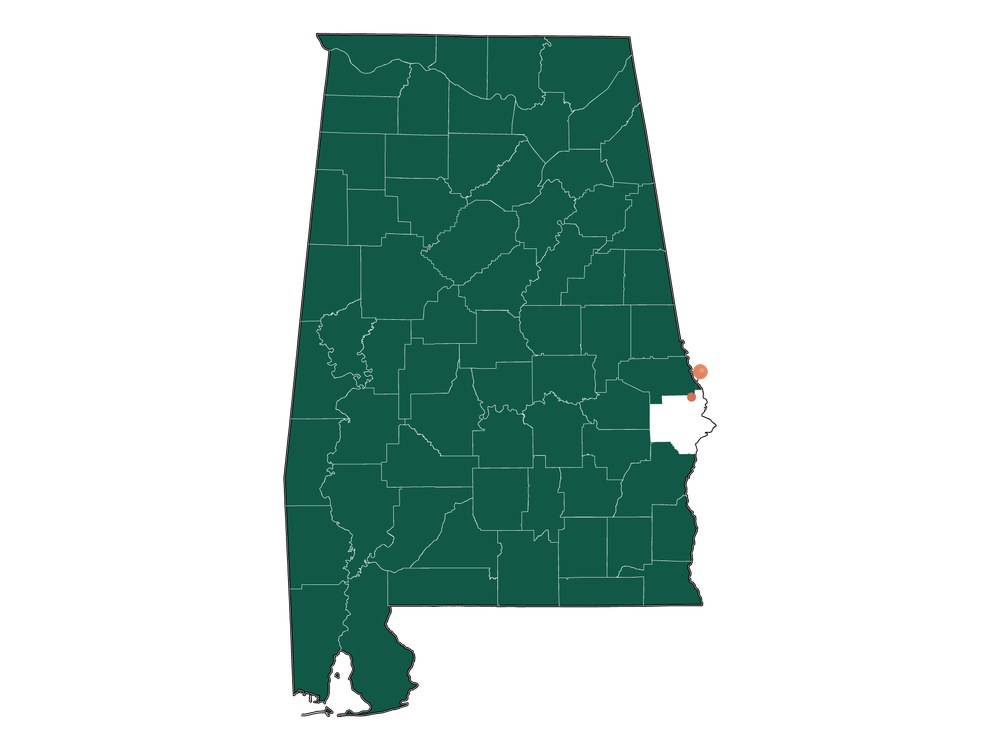 Moving to Ladonia, Alabama in 2023