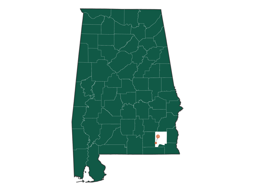 Zip Codes in Level Plains, Alabama