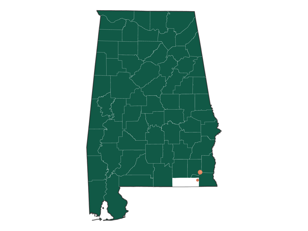 Safety in Malvern, Alabama (crime rates and environmental hazards)