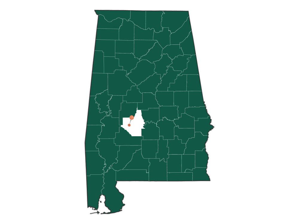Population In Orrville, Alabama Demographics)
