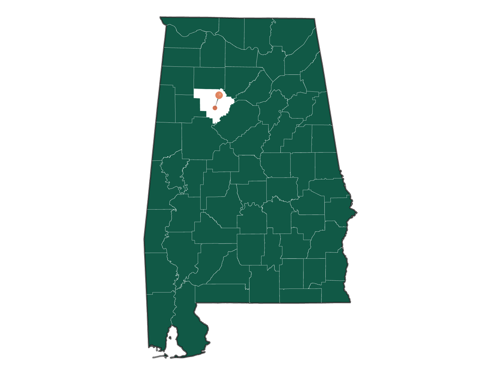 Population In Parrish, Alabama Demographics)