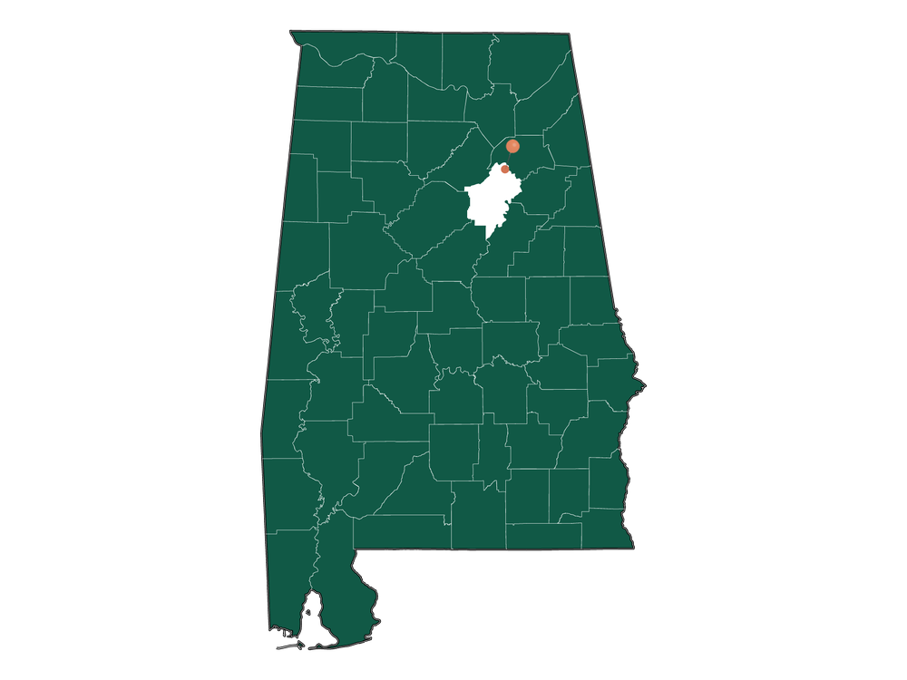 Moving to Steele, Alabama in 2023