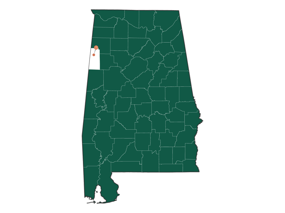 Unlocking Sulligent, AL Living Pros and Cons Dwellics