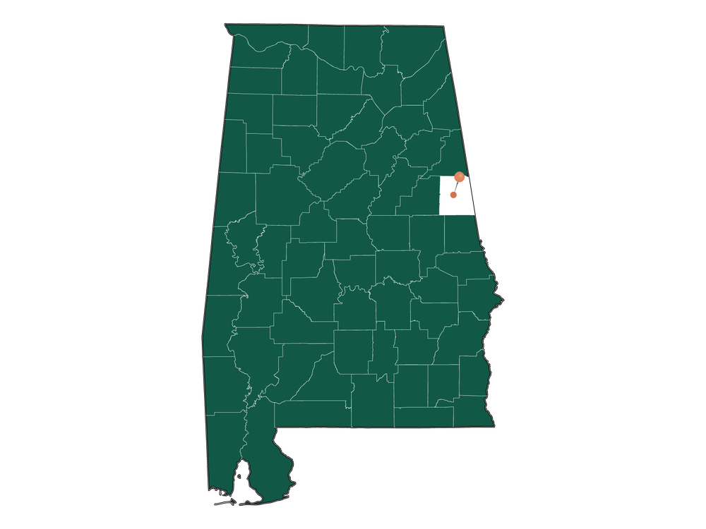 Cost of living in Wedowee, Alabama (Average Prices in Wedowee 2024)