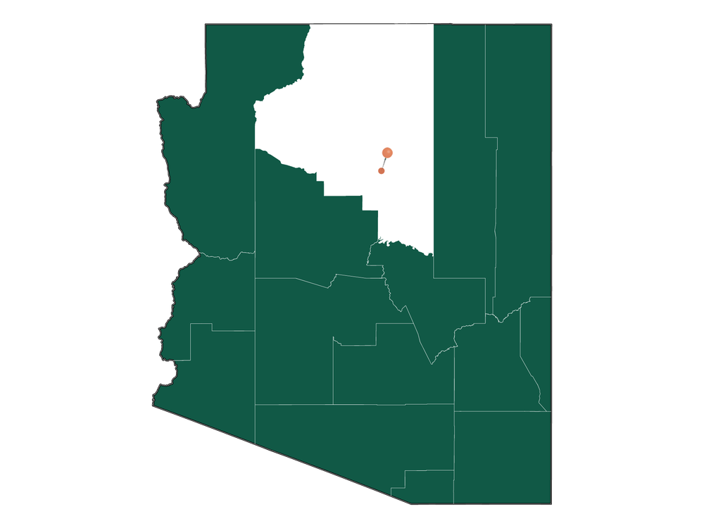 Moving to Doney Park, Arizona in 2023