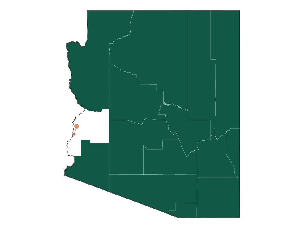 Moving to Ehrenberg, Arizona in 2023