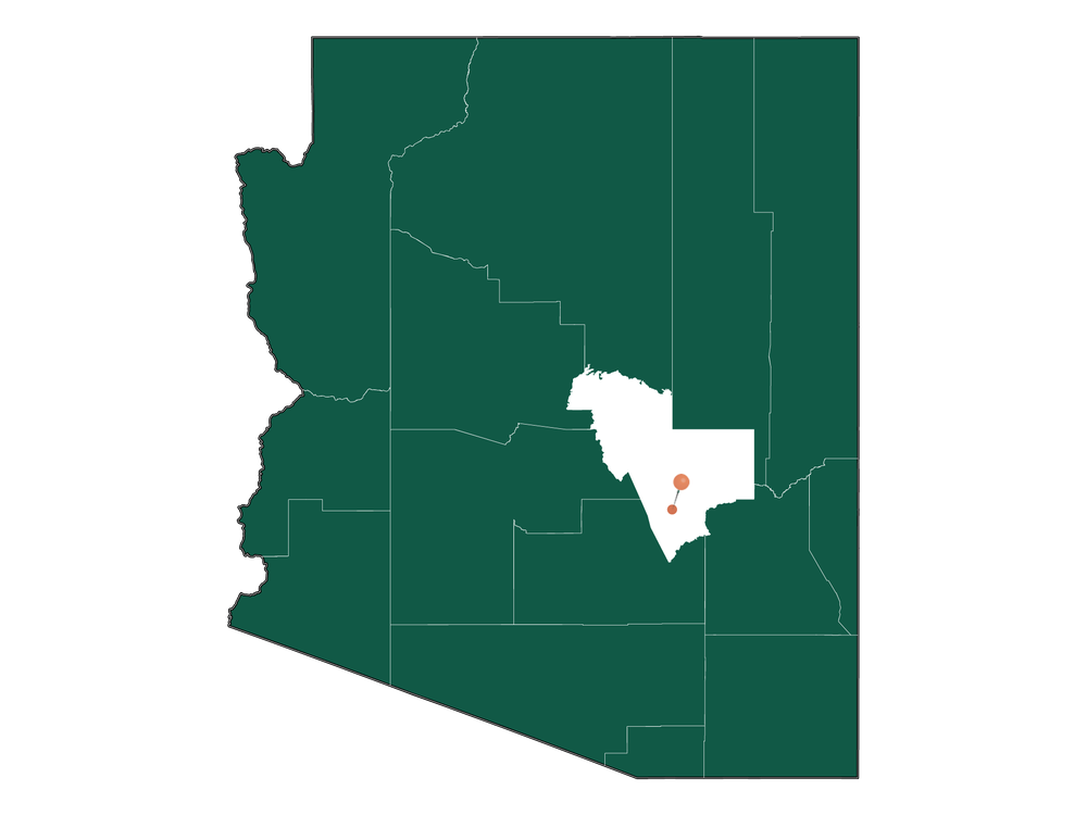 Moving to Globe, Arizona in 2023