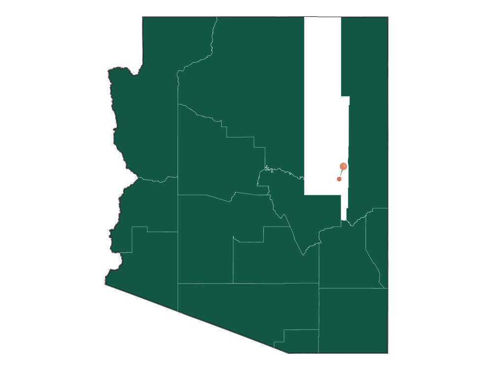 Population In Show Low, Arizona Demographics)