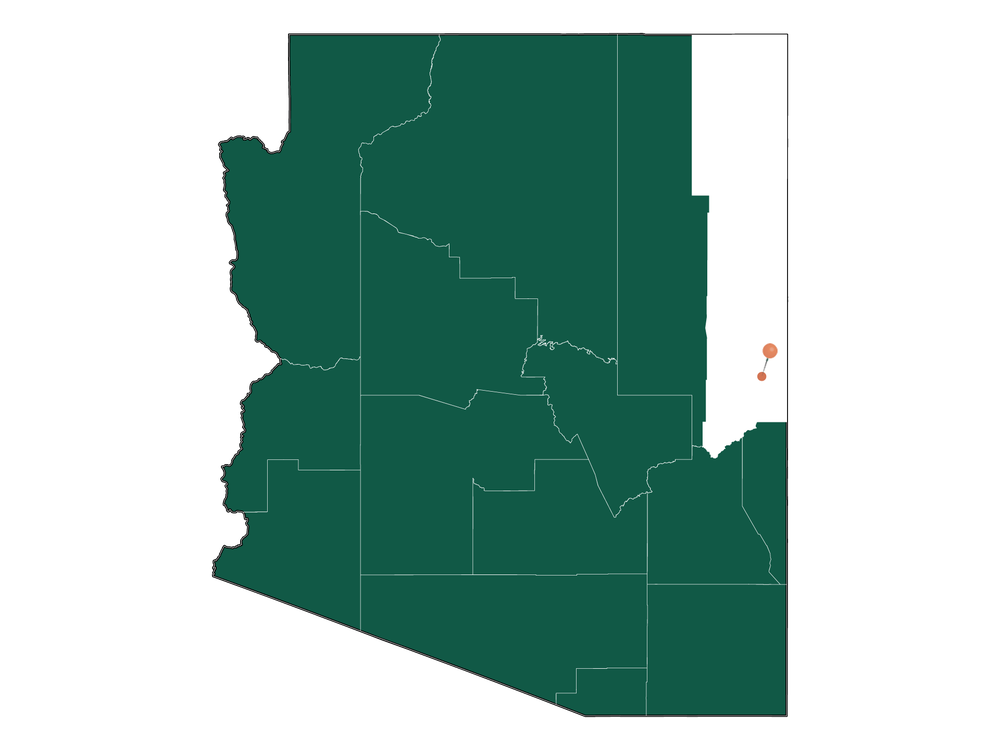 Moving to Springerville, Arizona in 2023