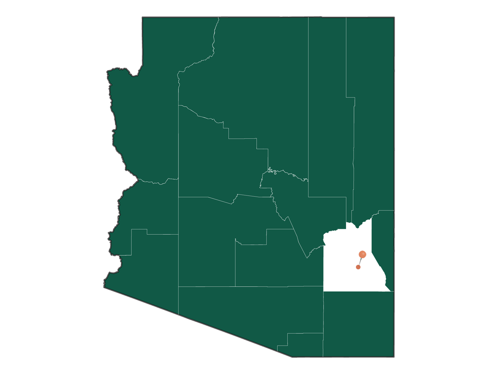 Cost of living in Thatcher, Arizona (Average Prices in Thatcher 2023)