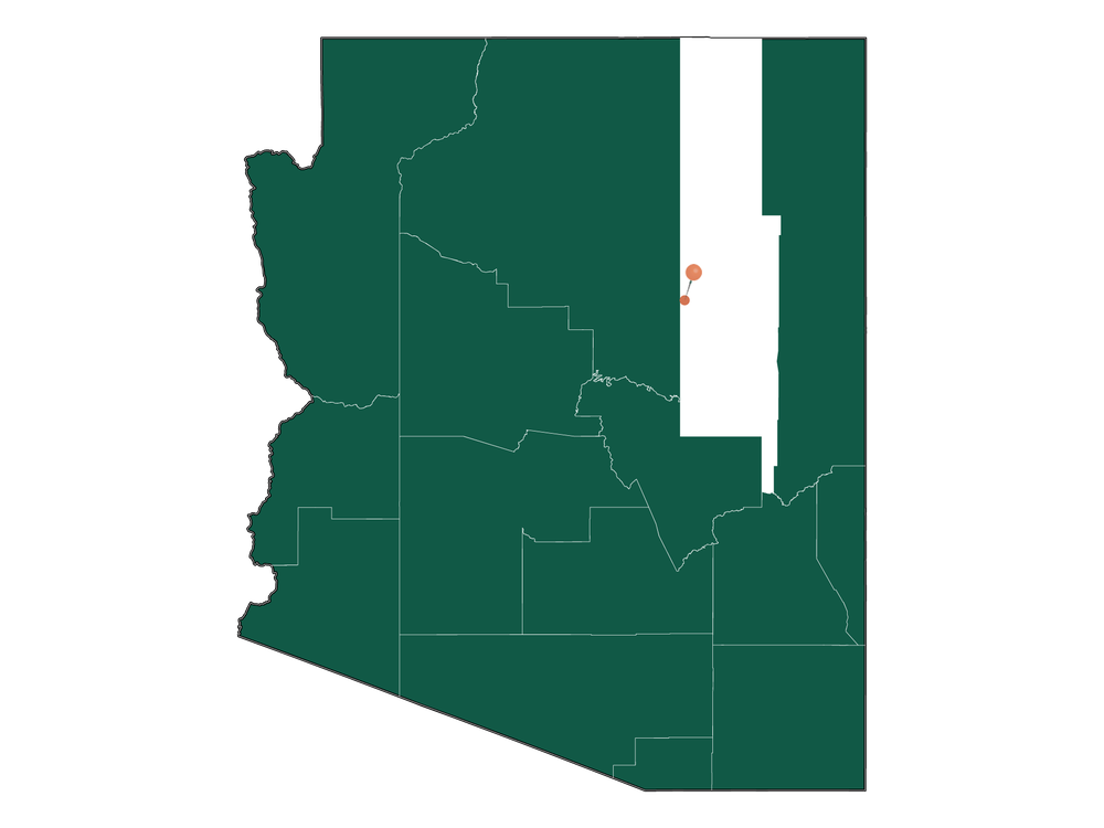 Population In Winslow, Arizona Demographics)