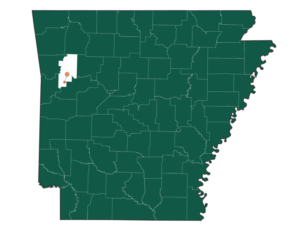 Climate in Branch, Arkansas (Detailed Weather Information)
