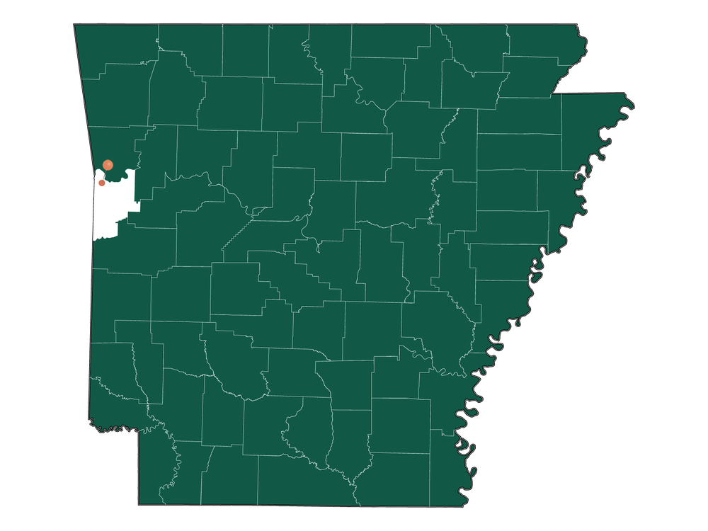 Population In Fort Smith, Arkansas Demographics)