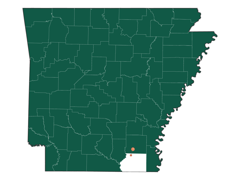 Climate in Fountain Hill, Arkansas (Detailed Weather Information)