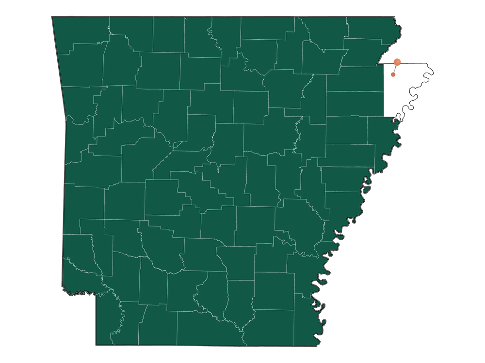 Schools in Manila, Arkansas (Elementary, Middle и High Schools)