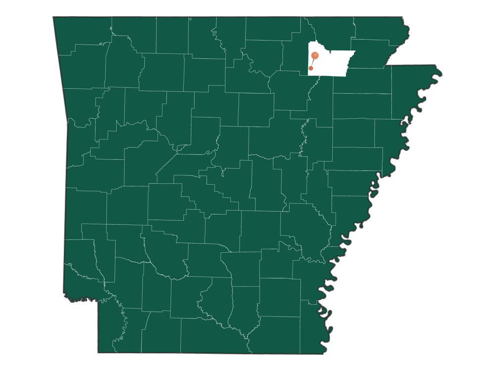 Moving to Strawberry, Arkansas in 2023