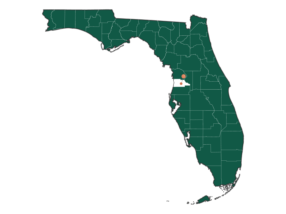 Population In Brooksville, Florida Demographics)