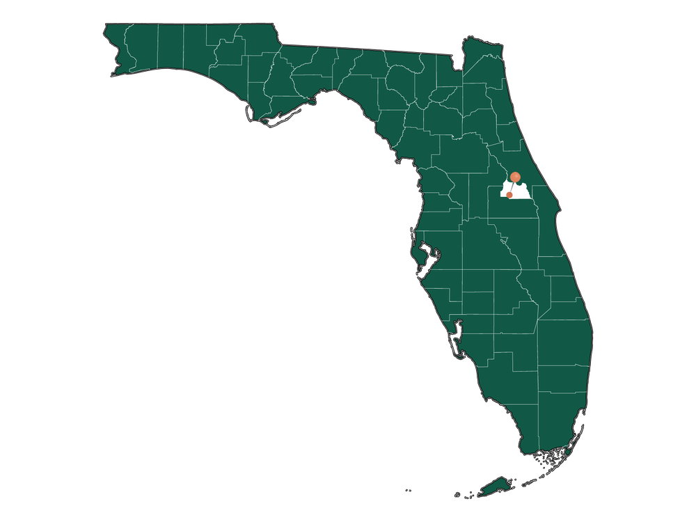 Cost of living in Casselberry, Florida (Average Prices in Casselberry 2024)