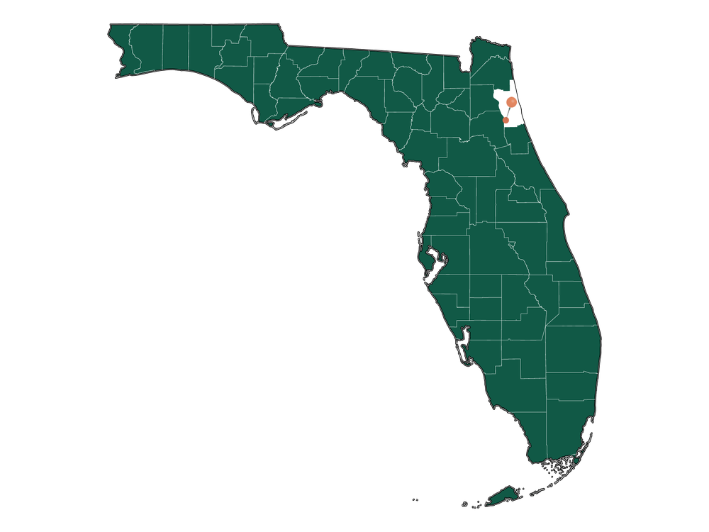 Moving to Hastings, Florida in 2023