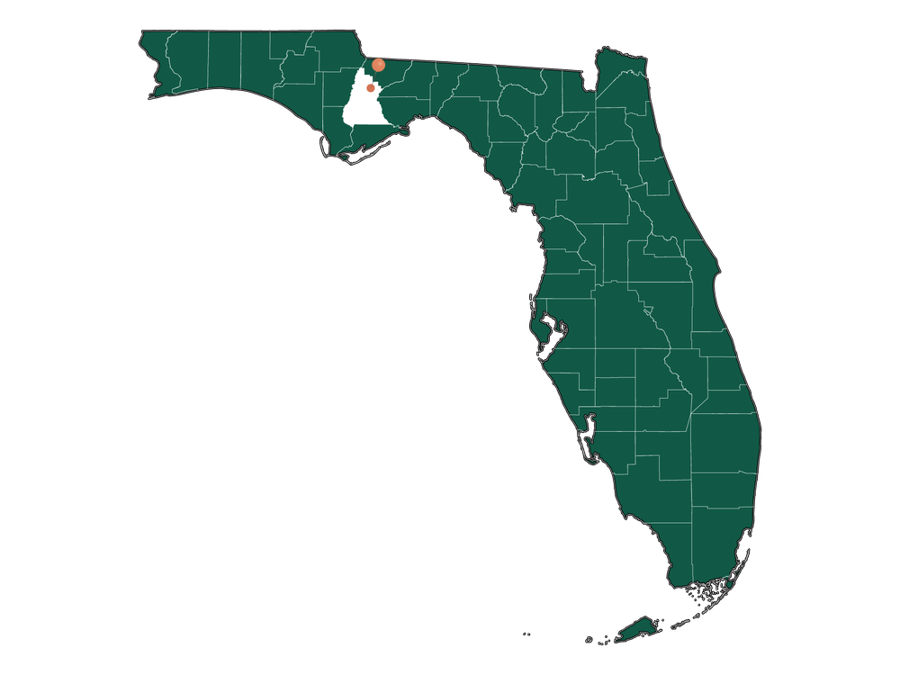 Infrastructure in Hosford, Florida