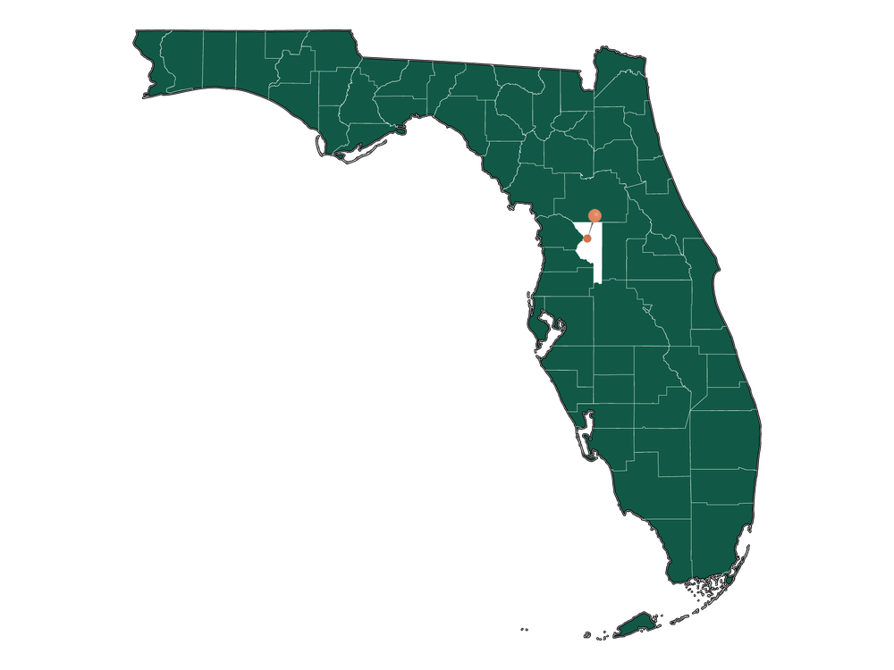 Schools in Lake Panasoffkee, Florida (Elementary, Middle и High Schools)