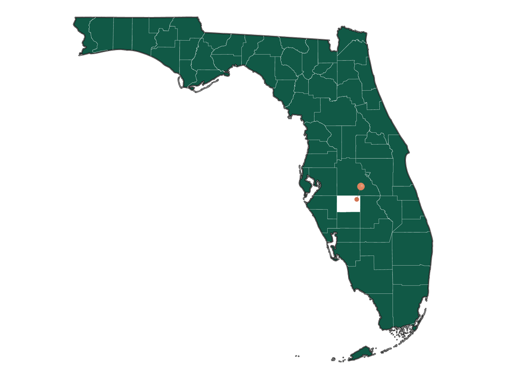 Cost of living in Lemon Grove, Florida (Average Prices in Lemon Grove 2024)