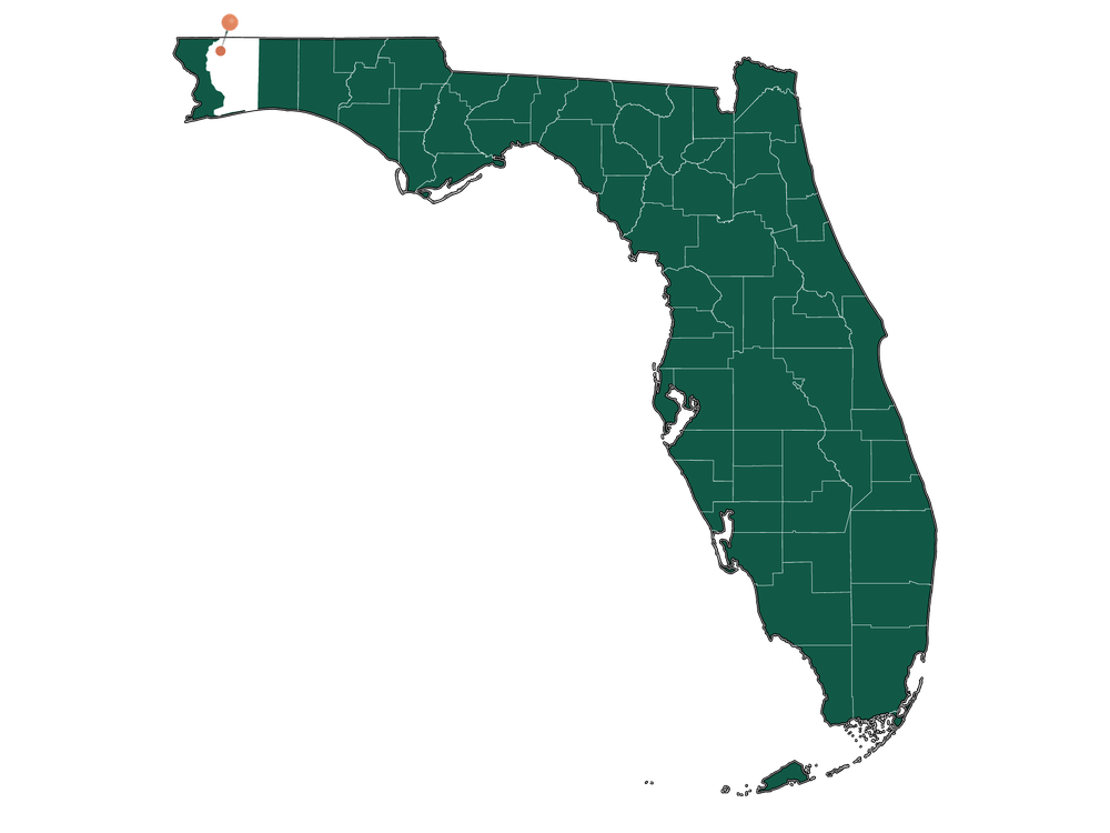 Infrastructure in Pine Level, Florida