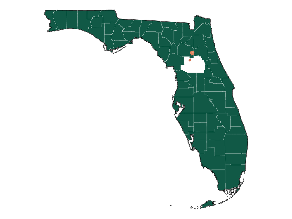 Cost of living in Reddick, Florida (Average Prices in Reddick 2023)